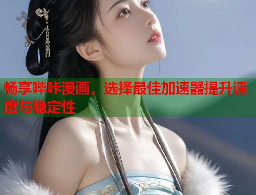 畅享哔咔漫画，选择最佳加速器提升速度与稳定性