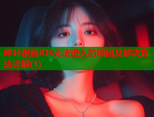 哔咔漫画iOS无法进入的原因及解决方法详解(1)