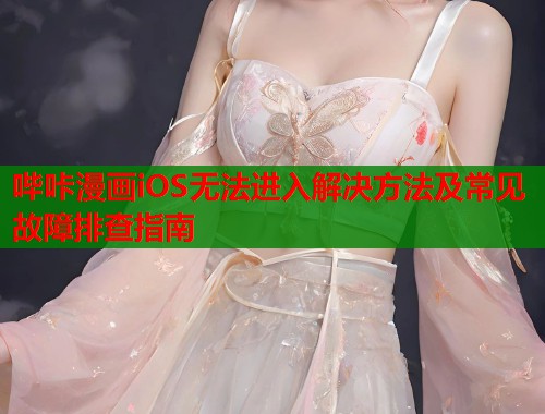 哔咔漫画iOS无法进入解决方法及常见故障排查指南