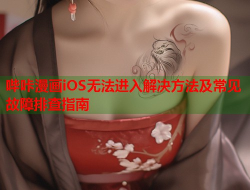 哔咔漫画iOS无法进入解决方法及常见故障排查指南