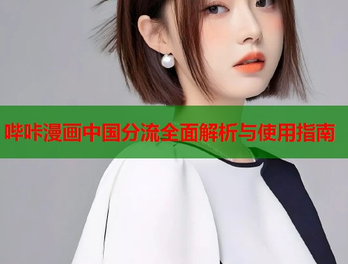 哔咔漫画中国分流全面解析与使用指南
