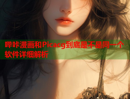 哔咔漫画和Picacg到底是不是同一个软件详细解析